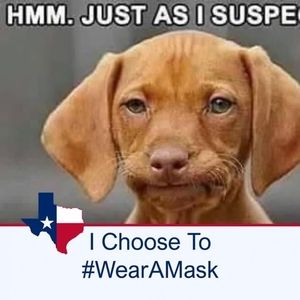 Meet your Posher, Mike